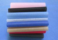 毛阳镇涤纶（PET）无纺布是什么